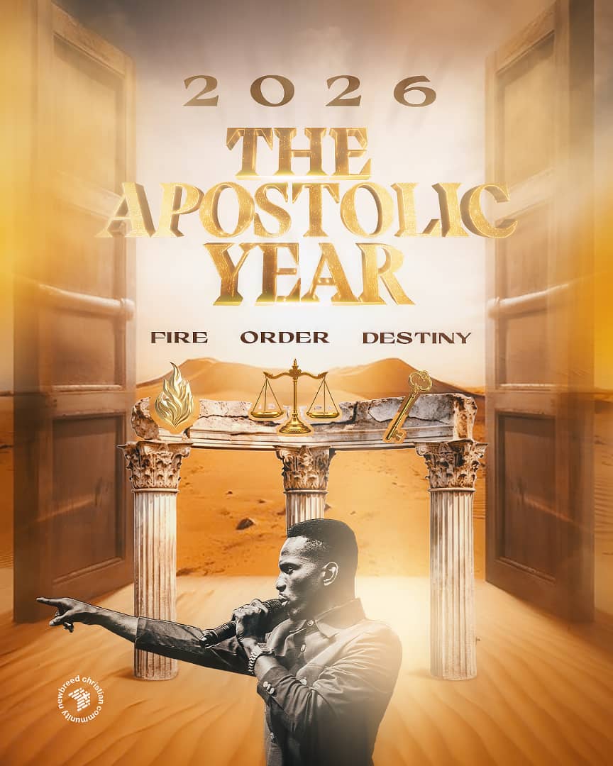 The Apostolic Year